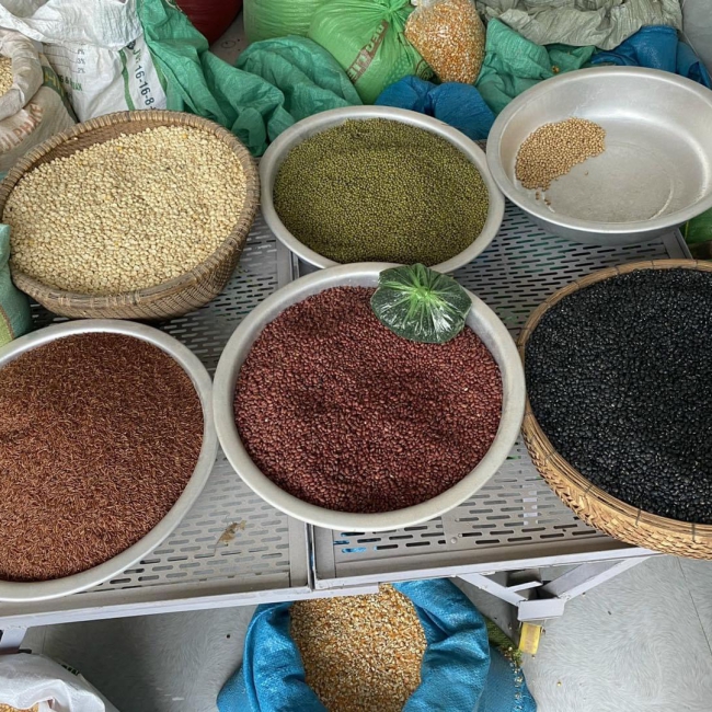 Máy rang hạt, đậu, ngũ cốc, cà phê đa năng 10kg-15kg Rio 10 Grain